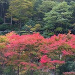 やどり温泉いやしの湯「おかん's Cafe」 - 