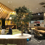 焼きたてチーズタルト専門店パブロコーヒー - 