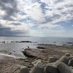 まるは食堂旅館 - 