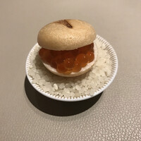 スガラボヴィー - 