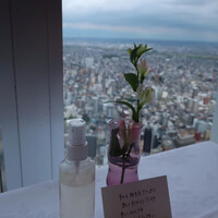 ワインラウンジ＆レストラン セパージュ 名古屋店 - 