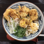 Marugame Seimen - 