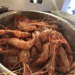 trattoria e poi - 北海道産縞エビ