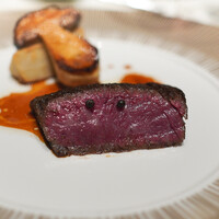 スガラボヴィー - 