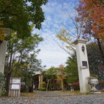 サクラ テーブル - 