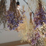 サクラ テーブル - 