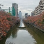 支那ソバ かづ屋 - 赤く色づく目黒川