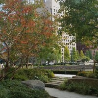 TRATTORIA CREATTA - 席からの眺め