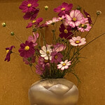 鮨と日本料理 ふう - 