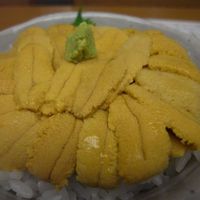 函館うに むらかみ 日本生命札幌ビル店 - うに丼