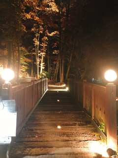 Mori no Naka no Restaurant Kodou