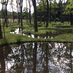 レストラン μ - 水庭