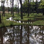 レストラン μ - 