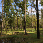 レストラン μ - 