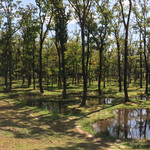 レストラン μ - 