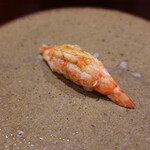 鮨匠 のむら - 車海老(出水産)