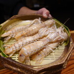 鮨匠 のむら - 蝦蛄(出水産)別名クリスタル蝦蛄