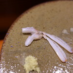 鮨匠 のむら - 蝦蛄(出水産)別名クリスタル蝦蛄