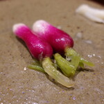 鮨匠 のむら - 廿日大根の浅漬け 