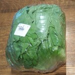 ディオ - レタス(税抜)91円 (2020.11.07)