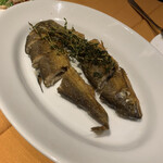 コンカドーロ - 