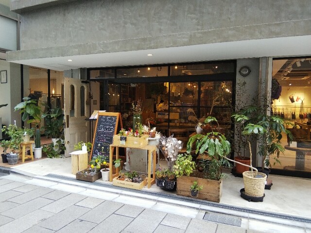 √70以上 二子 玉川 観葉 植物 331652