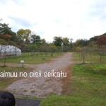 トバチ - 養蜂場があります