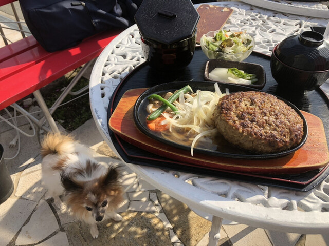 手造りハンバーグの店 箕面 ハンバーグ 食べログ