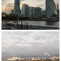 COLONIAL BEACH 横浜ハンマーヘッド - 