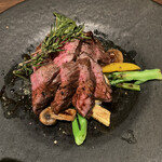 ビステリアグーフォ - 