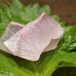 鮨匠 のむら - (06)勘八の幼魚(鹿児島県開聞岳沖産、1.3kg、1日寝かせ)
      産卵期は春～夏、旬は秋～冬。
      若さ故の爽やかな甘さが鮮烈です。
      のむらさんでは、青物は爽やかな香り楽しむポリシーから子供サイズがメイン