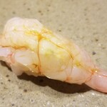 鮨匠 のむら - (19)ナミクダヒゲエビ(鹿児島県錦江湾産、深海210m)
      産卵期は夏～秋、旬も夏～秋
      通年味わいが落ちないようです
      ご当地のスペシャルなネタで、甘海老よりも甘く複雑なコクと海老特有の旨みがあります