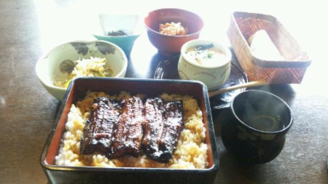 鰻鯉乃館 加茂店 - 泉中央（うなぎ）の写真