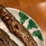 Masubuchi - 