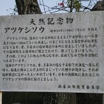 みんなのコーヒー - 