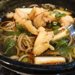乙蕎麦 - 鳥南蛮そば  アップ