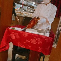 China Four Seasons 六本木店 - 