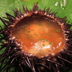 虎白 - 殻雲丹　生湯葉と長芋、すだちのジュレ　飛子の粒立ちと共に1