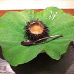 虎白 - 殻雲丹　生湯葉と長芋、すだちのジュレ　飛子の粒立ちと共に2