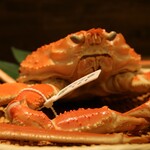 Nihonshu To Yudoufu Iroha - 松葉蟹解禁いたしました。900g〜1.2k/30,000円前後（刺身、ほぐし身、焼きなど）様々な調理法でご提供いたします