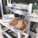 ラヴィクレール - 