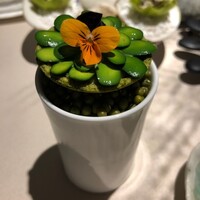 6 - 