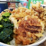 天丼てんや ペリエ西船橋店 - 国産秋天丼　ホリゾンタルアングル