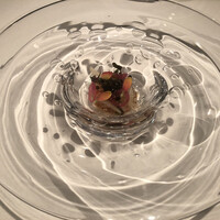 ジョンティ アッシュ - 