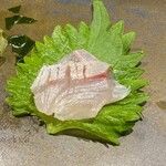 鮨匠 のむら - 勘八の幼魚(鹿児島県開聞岳沖産、1.3kg、1日寝かせ)