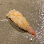 鮨匠 のむら - ナミクダヒゲエビ(鹿児島県錦江湾産、深海210m)