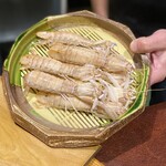 鮨匠 のむら - 蝦蛄(鹿児島県出水産)(茹で立て)【クリスタル蝦蛄】
