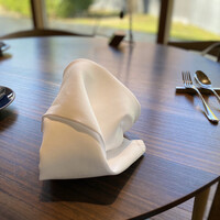 アコルドゥ - オシャレすぎる、ようわからんナプキン(⌒-⌒; )