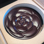 ベージュ アラン・デュカス 東京 - 美しいカメリア‼️