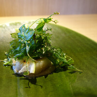 RISTORANTE IL NODO - 